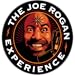 The Joe Rogan Experience