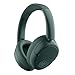 JLab JBuds Lux ANC Wireless Headphones, Sage, Hybrid Active Noise Cancelling, Customizable Sound, Spatial Audio Compatible, Premium Over-Ear Bluetooth Headset