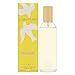 Nina Ricci L'Air Du Temps Eau De Toilette Spray Refill for Women, 3.4 Ounce