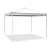 Caravan Canopy CVAN21007900010 Sports V Series 2 10 x 10 Ft Straight Leg Tent