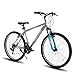 HH HILAND 27.5 Inch Mountain Bike, Mens Womens MTB with 21 Speeds, High-Tensile Steel Frame, V Brake, Hardtail Bicycle for Adults Gray