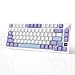 AJAZZ AK820PRO 75% Hot Swap Gasket Mount Mechanical Keyboard with TFT Display Screen, 4000mAh BT/2.4G/Wired RGB South Facing LED, Knob Control for E-Sport/Windows/Mac, Gift Switch