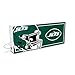 SOAR NFL LED Ambience Light Box: Elevate Your Space with Officially Licensed Wall Décor, New York Jets