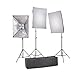 StudioFX 2400 WATT Digital Photography Continuous Softbox Lighting Studio Video Portrait Kit CH9004S3 by Kaezi