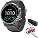 Garmin 010-02174-01 Vivoactive 4 Smartwatch, Shadow Gray/Stainless Bundle with Deco Gear Magnetic Wireless Sport Earbuds, Red with Carrying Case and Voltix Portable Charger