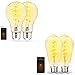 HVS Smart Light Bulbs,A67 & ST64 E26 LED Edison Bulb Vintage Filament Dimmable Cool to Warm White 2100-5000K, Antique Amber Glass Decor Light 2.4GHz Wi-Fi APP Control Alexa Google Assistant Light