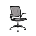Humanscale Diffrient World Task Chair | Black Pinstrip Mesh Seat and Back | Black Frame, Black Trim | Height-Adjustable Duron Arms | Standard Foam Seat, 3' Carpet Casters, 5' Cylinder