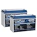 WEIZE 12V 100Ah LiFePO4 Battery Group 31 Lithium Battery, Built-in 100A BMS, Low Temperature Protection Deep Cycle Battery for Trolling Motor, RV, Solar, Marine, Camping, Home Energy Storage (2 Packs)