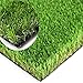Moxie Direct Artificial Grass Turf Faux Grass for Dog Thick Realistic Turf Rug Indoor Outdoor Carpet Garden Lawn Landscape Rubber Backed with Drainage Holes,1.38inch Pile Height,9Feet X 30Feet