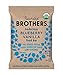 Bearded Brothers Organic Vegan Protein Energy Bars - Gluten Free, Soy Free, Paleo, Fiber, Whole 30 | Non GMO, Low Glycemic | 12 Pack Blueberry Vanilla