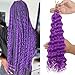 CTRLALT Purple Ocean Wave Braiding Hair 24 Inch Curly Braiding hair Wet and Wavy Braiding Hair Ocean Wave Crochet Hair Extensions(24inch, 2pack, Purple)