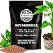 DYNOMYCO Mycorrhizal Inoculant – Plant Growth & Root Treatment – Concentrated Mycorrhiza Formula – Boosts Nutrient – Mycorrhizae Plant Food for Resilience, Root Strength & Fertilizer (750g / 26.5oz)