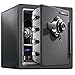 SentrySafe Fireproof and Waterproof Steel Home Safe with Dial Combination Lock, Secure Documents, Jewelry and Valuables with Bolt Down Kit, 1.23 Cubic Feet, 17.8 x 16.3 x 19.3 Inches, SFW123DSB