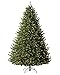 Treetopia Green Artificial Christmas Tree | Alexander Fir - 9 Ft | Prelit with 1200 LED Candlelight Clear Lights | Includes Tree Stand, On/Off Foot Pedal, Extra Bulbs & Fuses