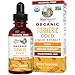 MaryRuth Organics USDA Organic Turmeric Gold Liquid Drops | Liquid Herbal Blend | Turmeric Curcumin, Black Pepper, Cassia Cinnamon Bark, Ginger Root | Immune Support | Non-GMO, Vegan, 1oz