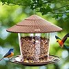 Bird Feeder Coupons