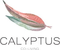 Calyptus Coupon Codes & Offers