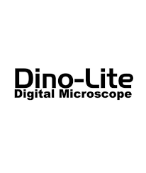 Dino Lite Coupons