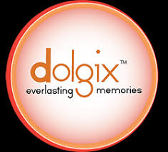 Dolgix Coupons