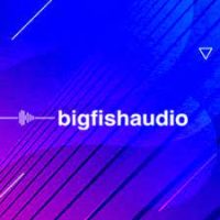 Big Fish Audio coupons