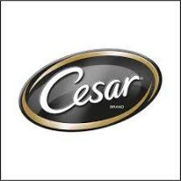 Cesar Coupons & Discounts