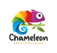 Chameleon coupons